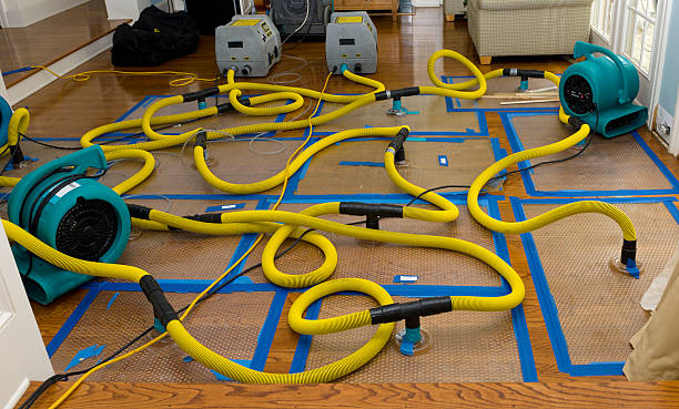 Professional Flood Damage Restoration technician working in Troy, MO